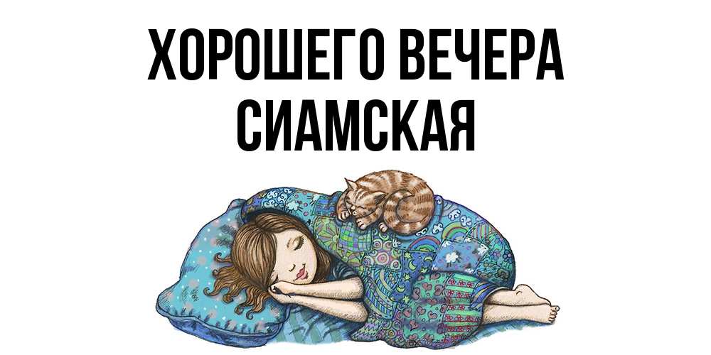 Открытка  для любимых и родных. сиамская, Хорошего вечера  