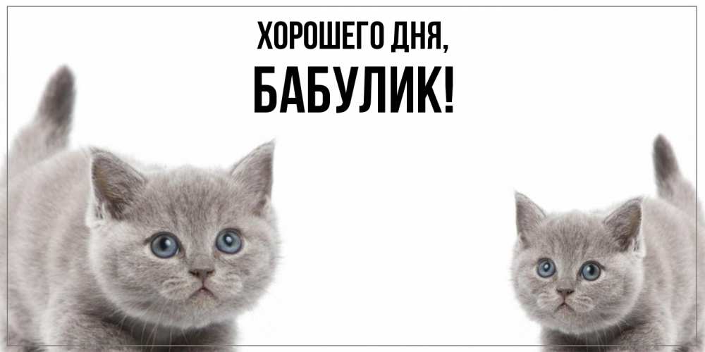 Открытка  для любимых и родных. бабулик, Хорошего дня  