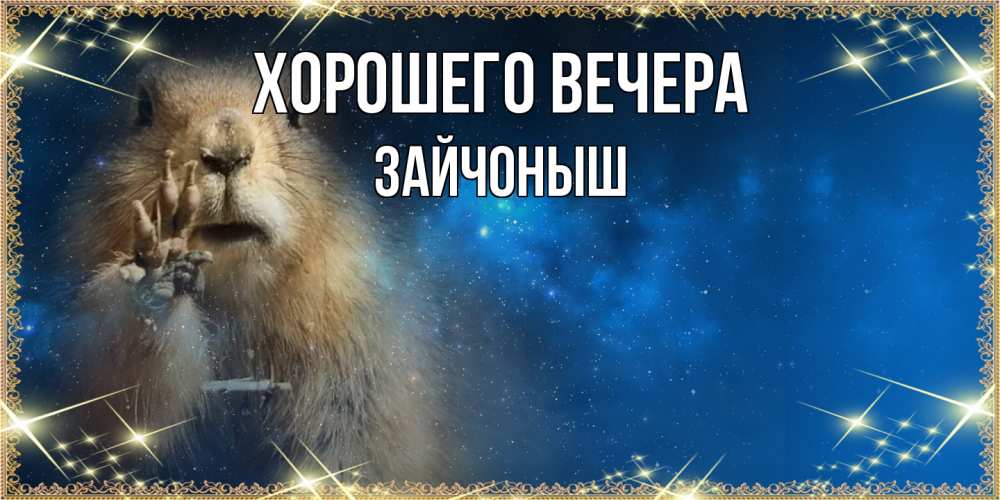 Открытка  для любимых и родных. зайчоныш, Хорошего вечера  
