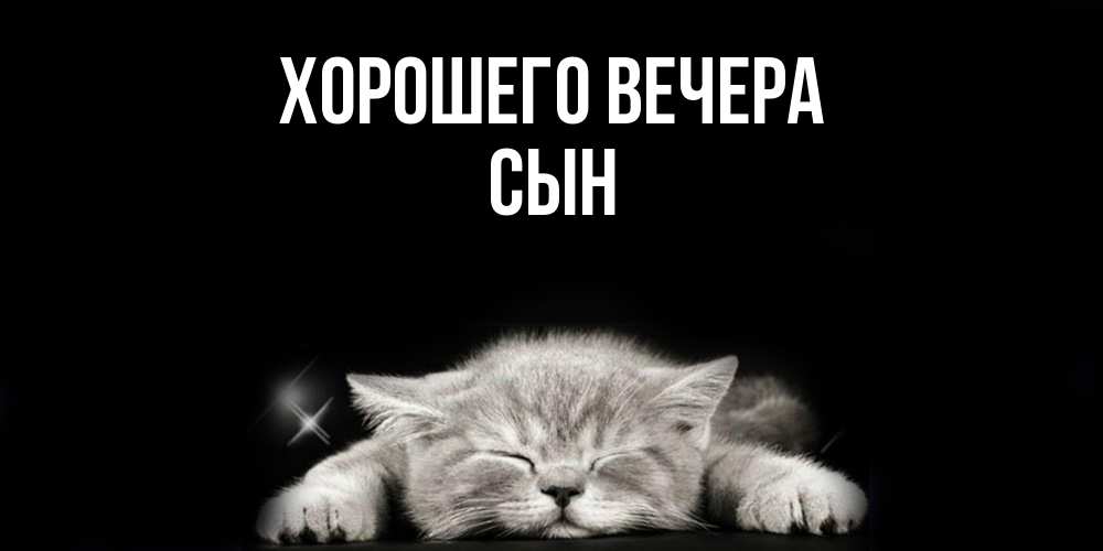 Открытка  для любимых и родных. Сын, Хорошего вечера  