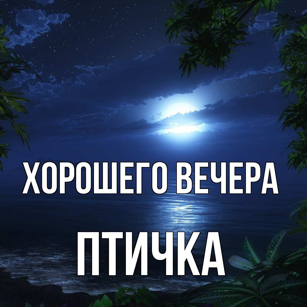 Картинка Хорошего вечера, птичка