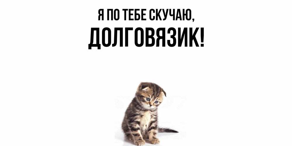 Картинка Я по тебе скучаю, долговязик