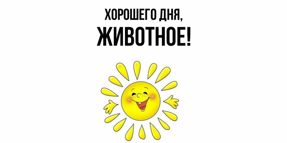Картинка Хорошего дня, животное