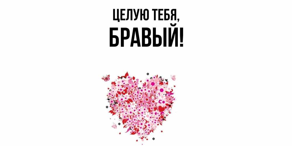 Картинка Целую тебя, бравый