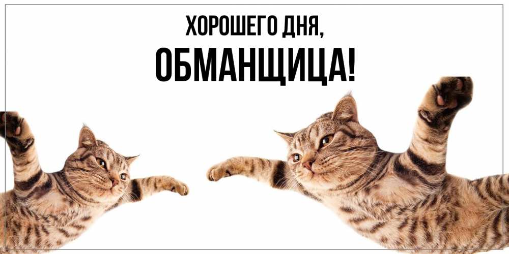 Открытка  для любимых и родных. обманщица, Хорошего дня  