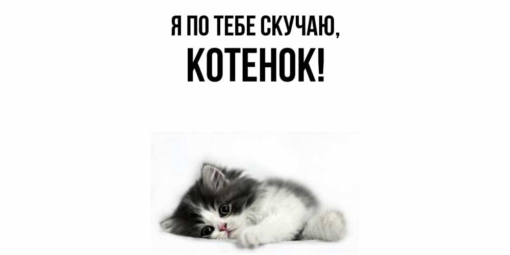 Открытка  для любимых и родных. Котенок, Я по тебе скучаю  