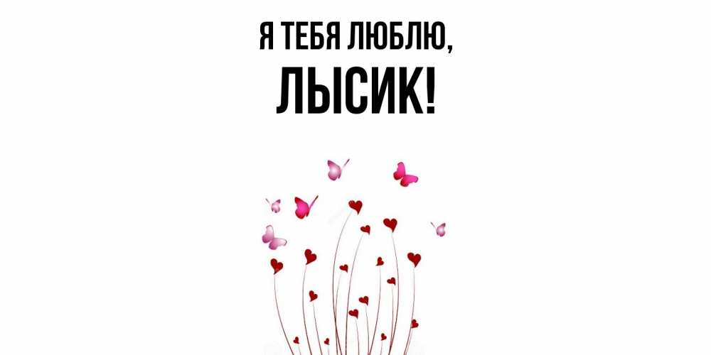 Открытка  для любимых и родных. лысик, Я тебя люблю  