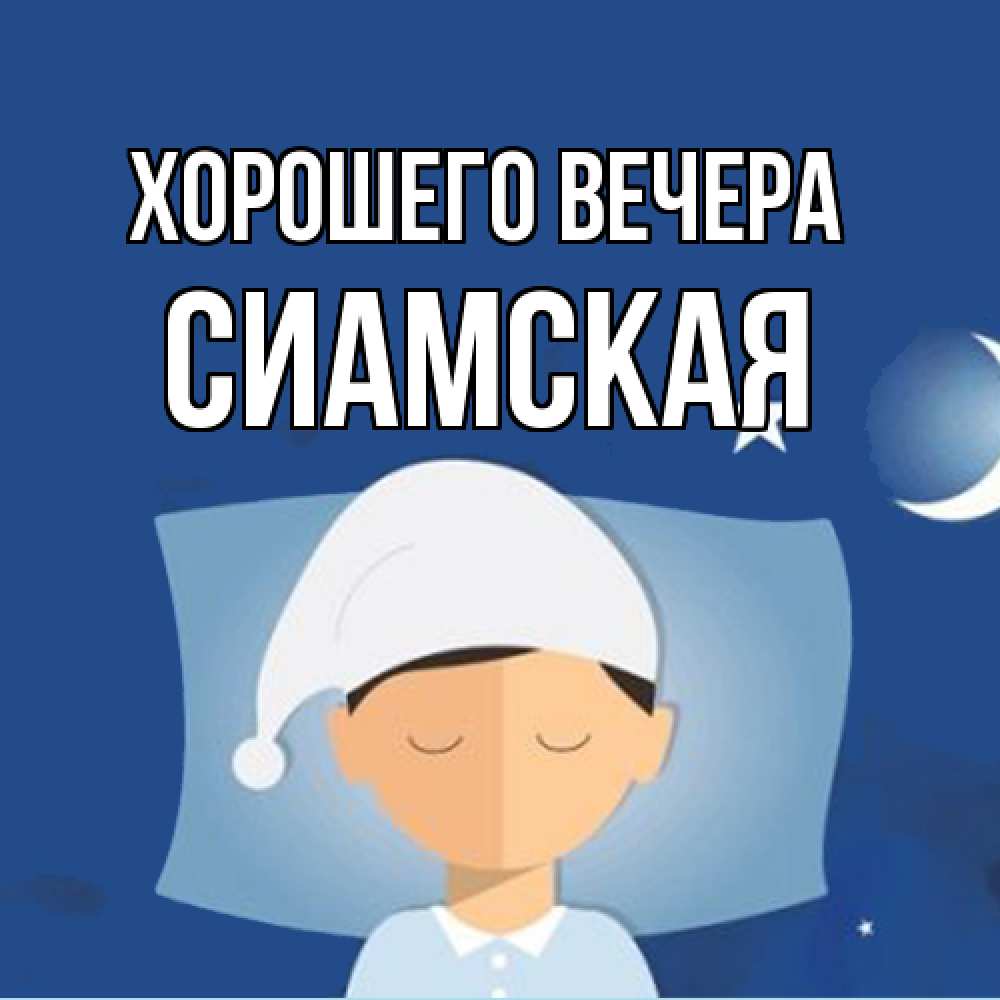 Открытка  для любимых и родных. сиамская, Хорошего вечера  