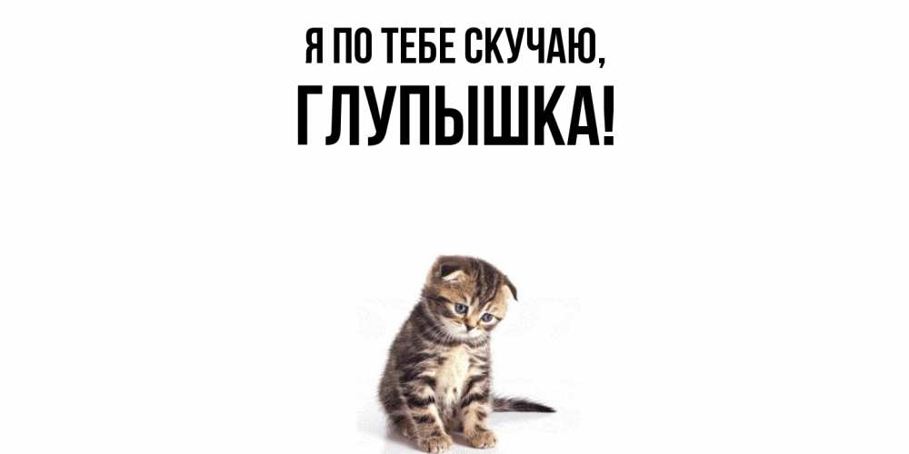Открытка  для любимых и родных. глупышка, Я по тебе скучаю  