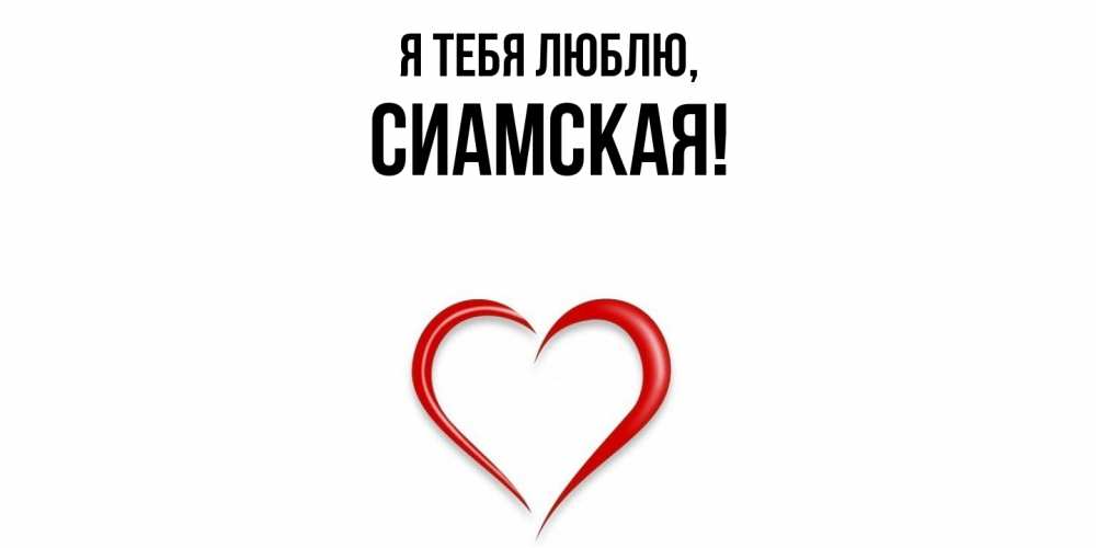 Картинка Я тебя люблю, сиамская