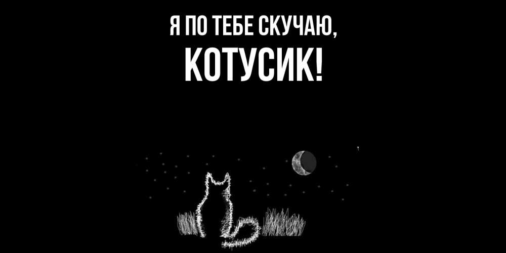 Картинка Я по тебе скучаю, котусик