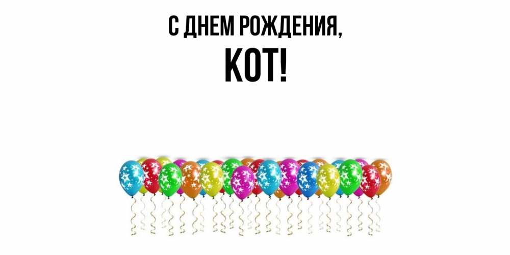 Картинка С днем рождения, кот
