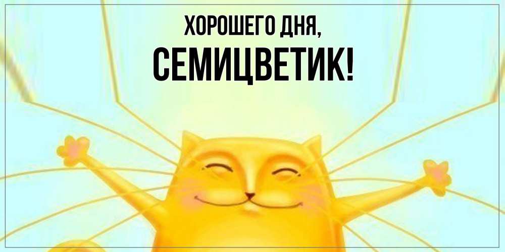 Открытка  для любимых и родных. семицветик, Хорошего дня  