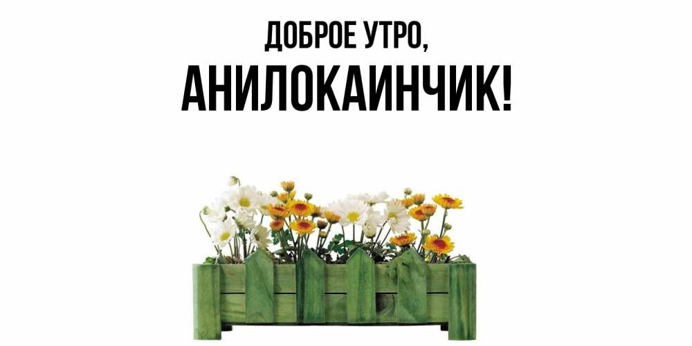 Картинка Доброе утро, анилокаинчик