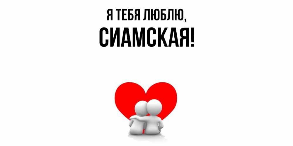 Картинка Я тебя люблю, сиамская