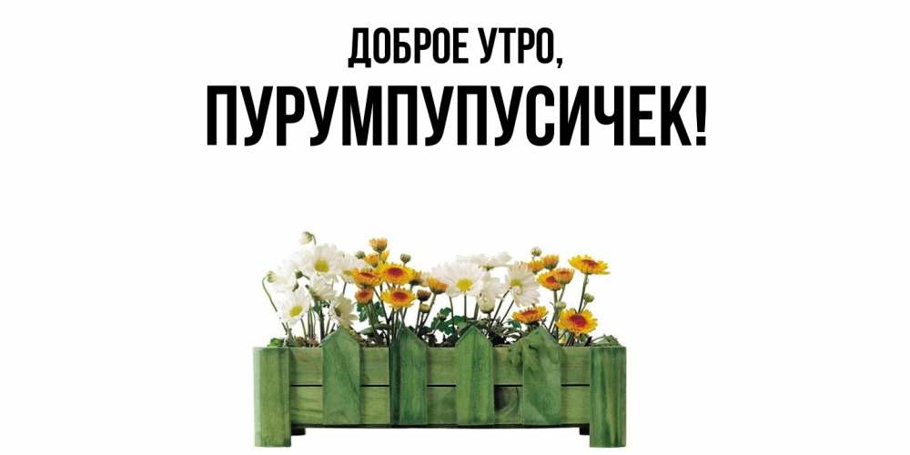 Открытка  для любимых и родных. пурумпупусичек, Доброе утро  