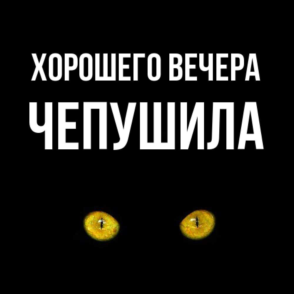 Чепушила кто это такой