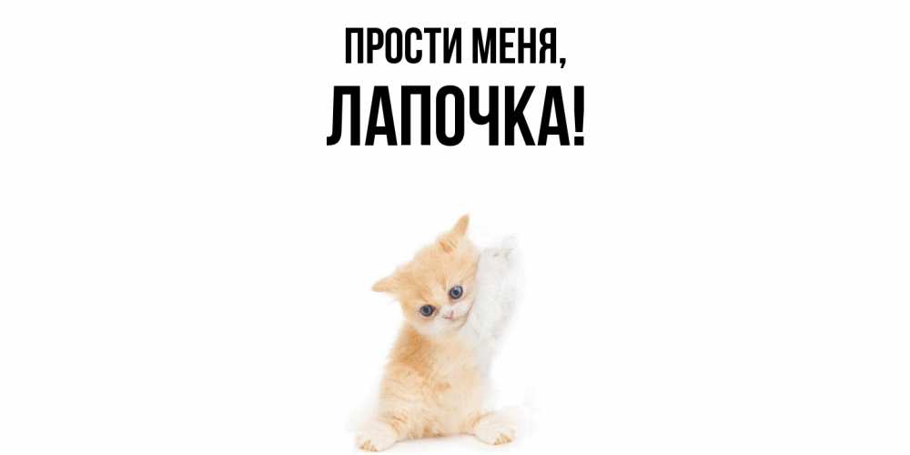 Картинка Прости меня, Лапочка