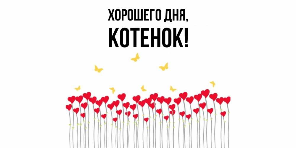 Картинка Хорошего дня, Котенок