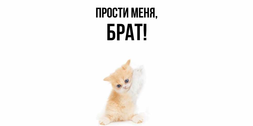 Открытка  для любимых и родных. Брат, Прости меня  