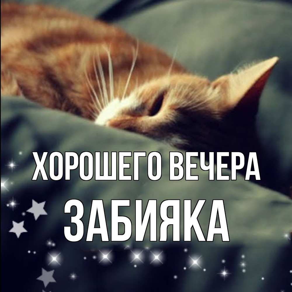 Открытка  для любимых и родных. забияка, Хорошего вечера  