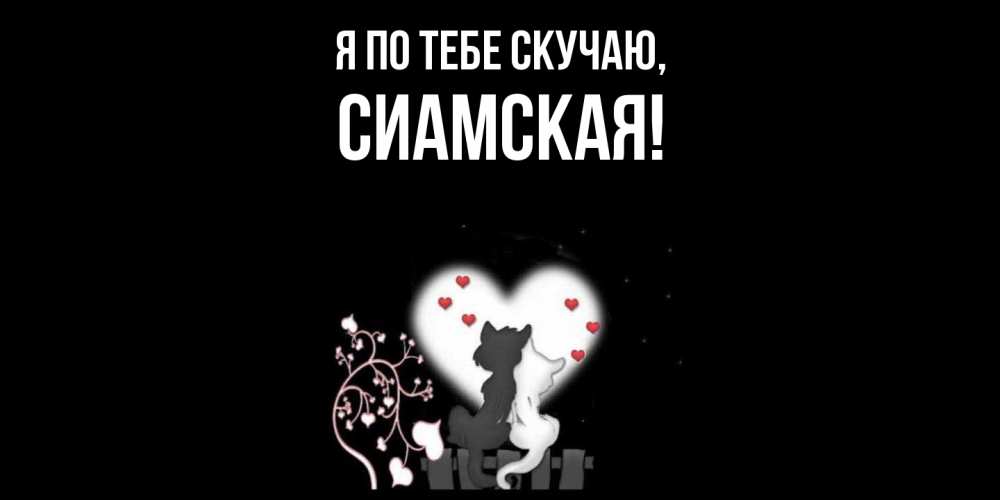 Открытка  для любимых и родных. сиамская, Я по тебе скучаю  