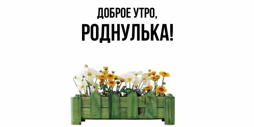 Открытка  для любимых и родных. роднулька, Доброе утро  