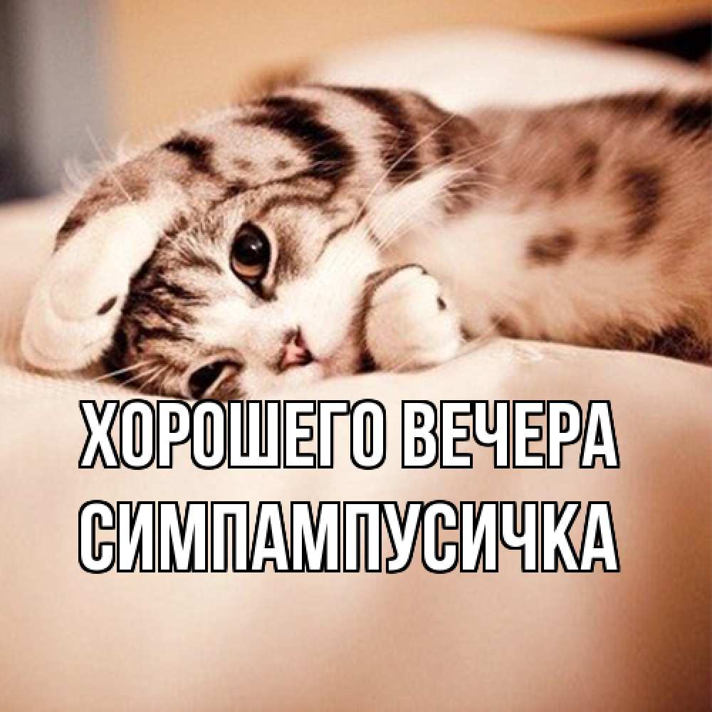 Открытка  для любимых и родных. симпампусичка, Хорошего вечера  