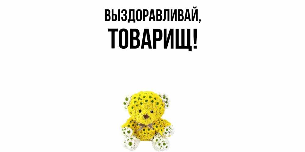 Картинка Выздоравливай, Товарищ