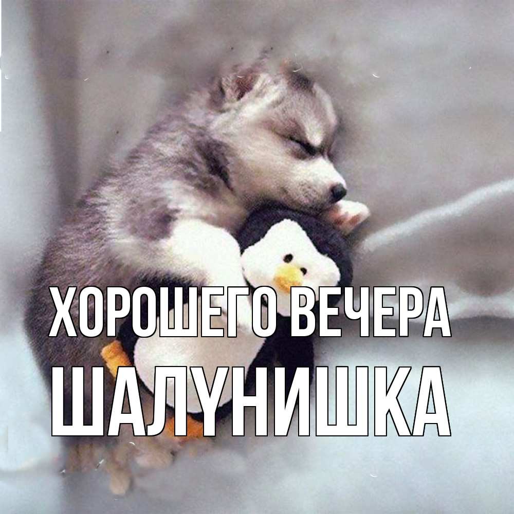 Картинка Хорошего вечера, шалyнишка