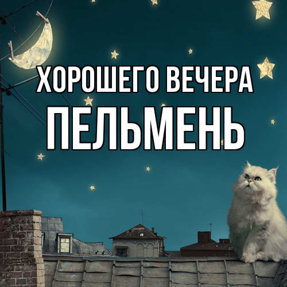 Картинка Хорошего вечера, пельмень