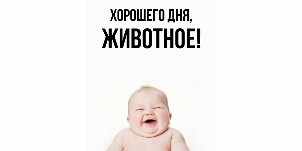 Картинка Хорошего дня, животное