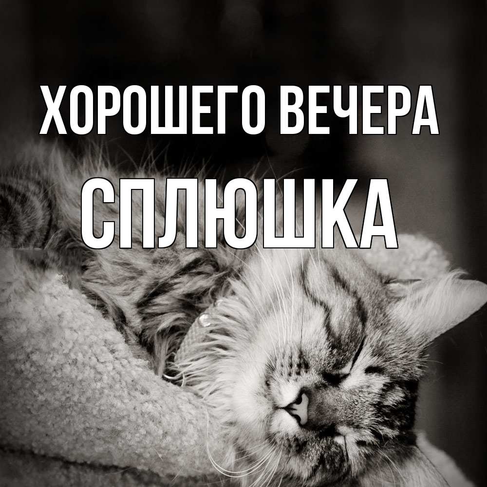 Картинка Хорошего вечера, сплюшка