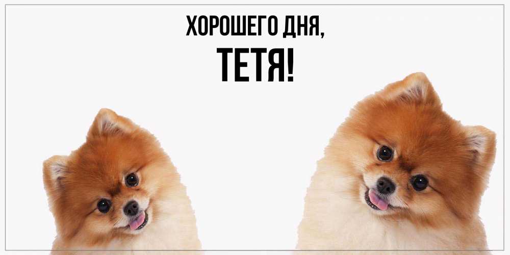 Картинка Хорошего дня, Тетя