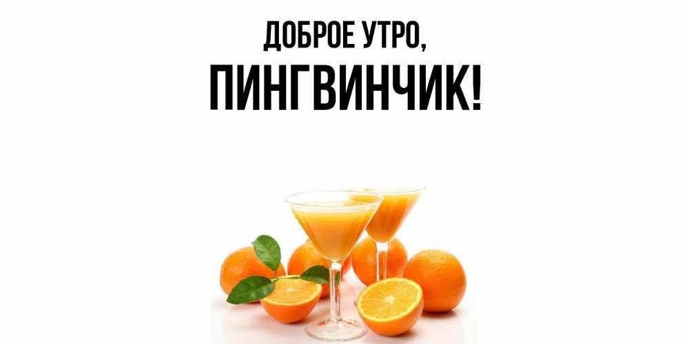 Открытка  для любимых и родных. пингвинчик, Доброе утро  