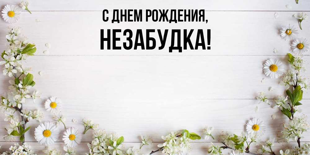 Открытка  для любимых и родных. незабудка, С днем рождения  