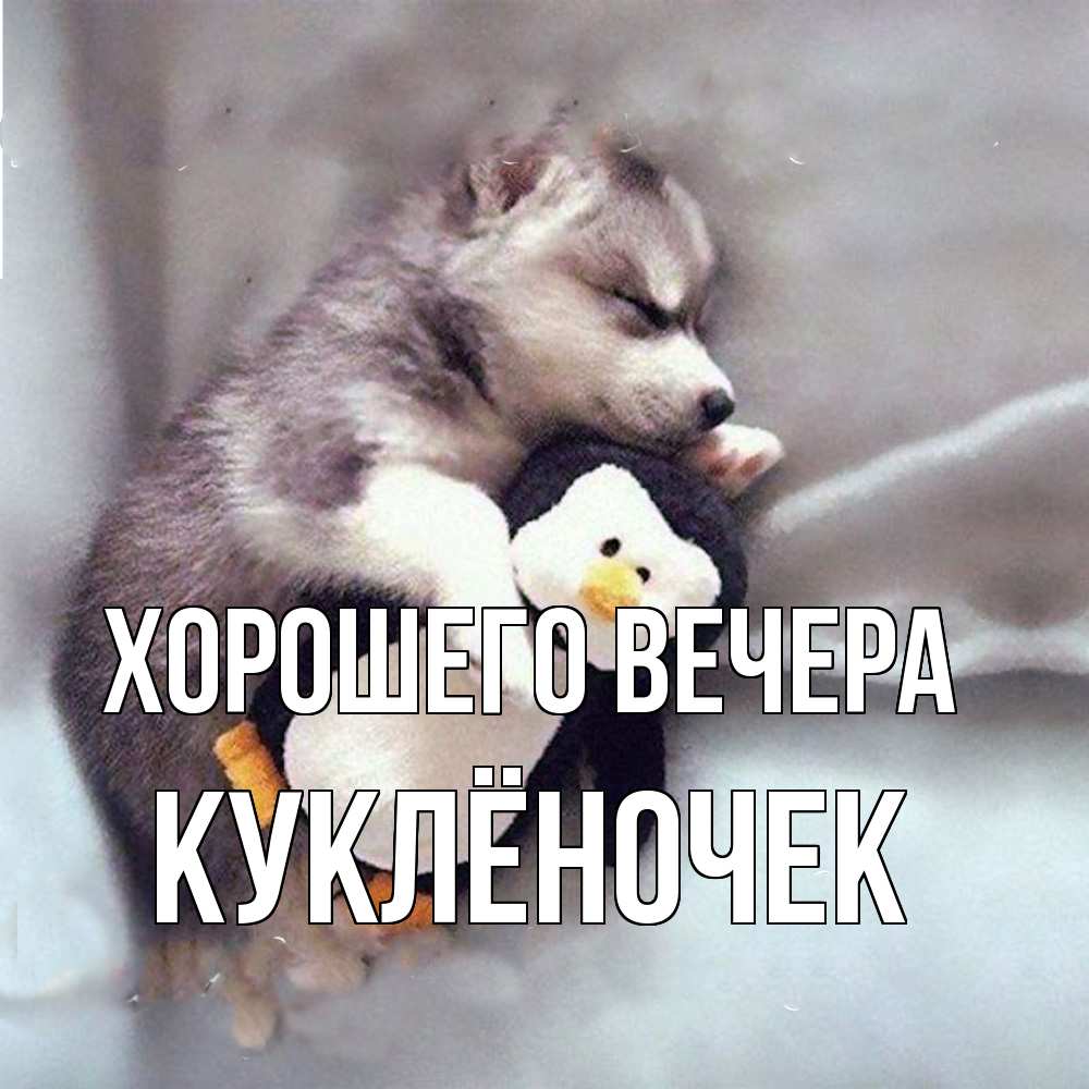 Картинка Хорошего вечера, куклёночек