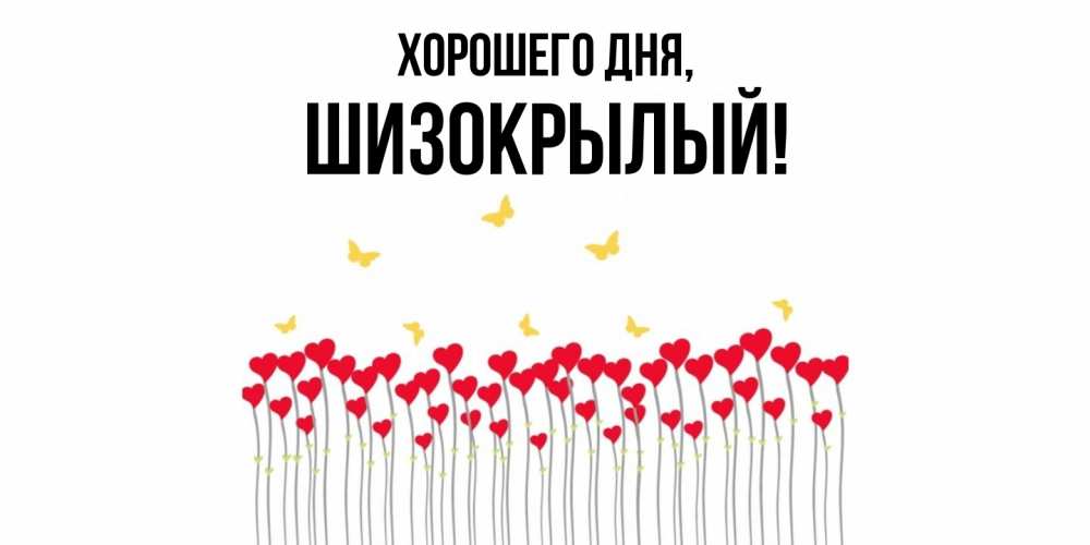 Открытка  для любимых и родных. шизокрылый, Хорошего дня  