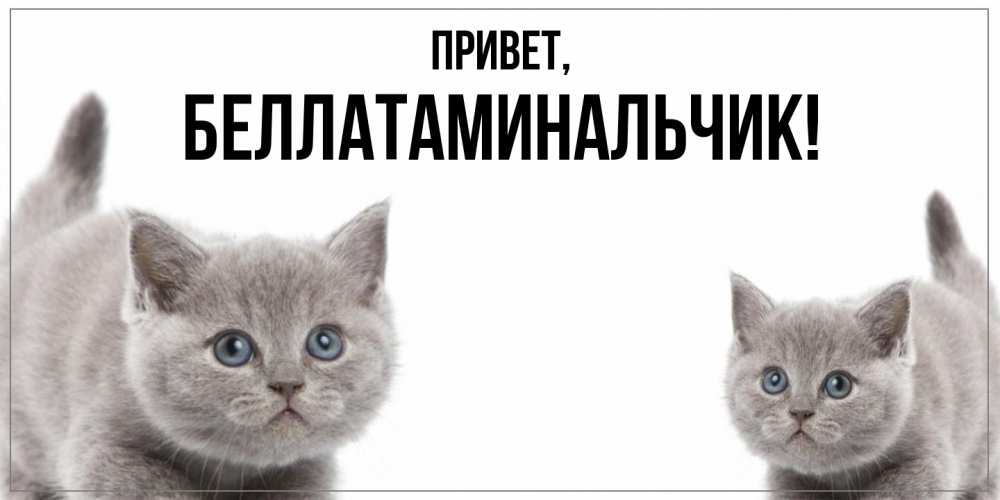Открытка с именем, беллатаминальчик, Привет