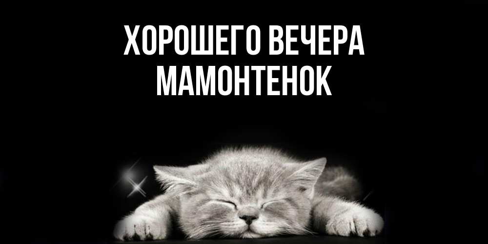 Картинка Хорошего вечера, мамонтенок