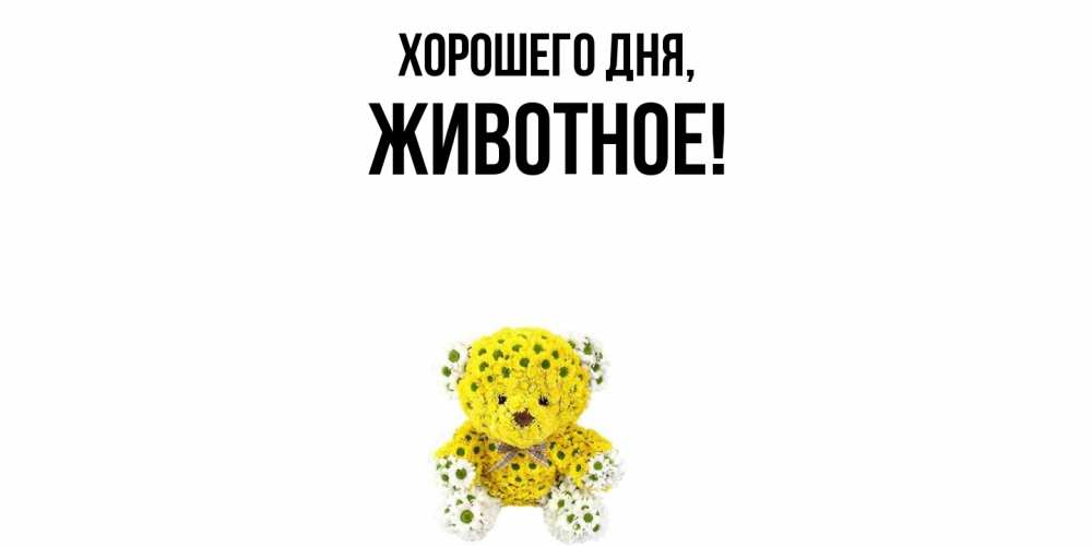Картинка Хорошего дня, животное