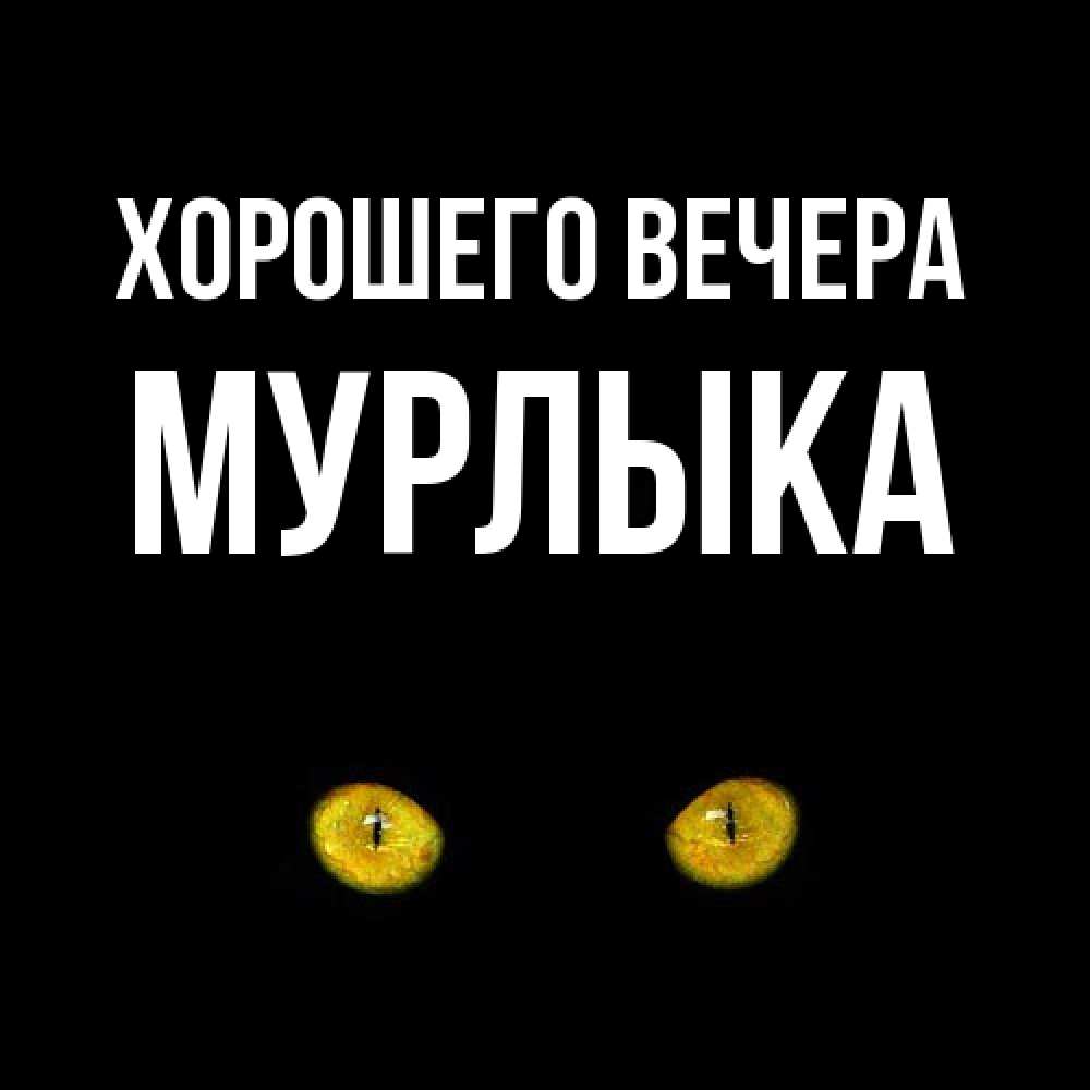 Открытка  для любимых и родных. мурлыка, Хорошего вечера  