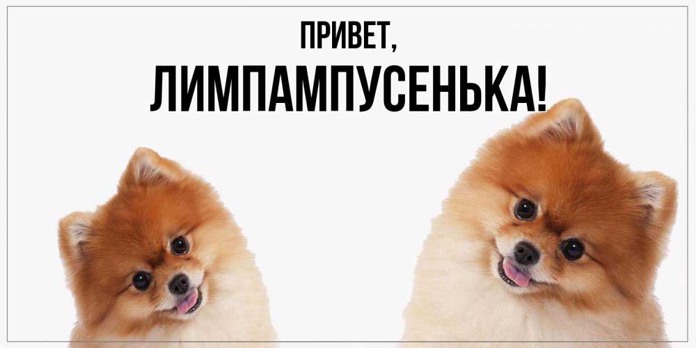 Картинка Привет, лимпампусенька
