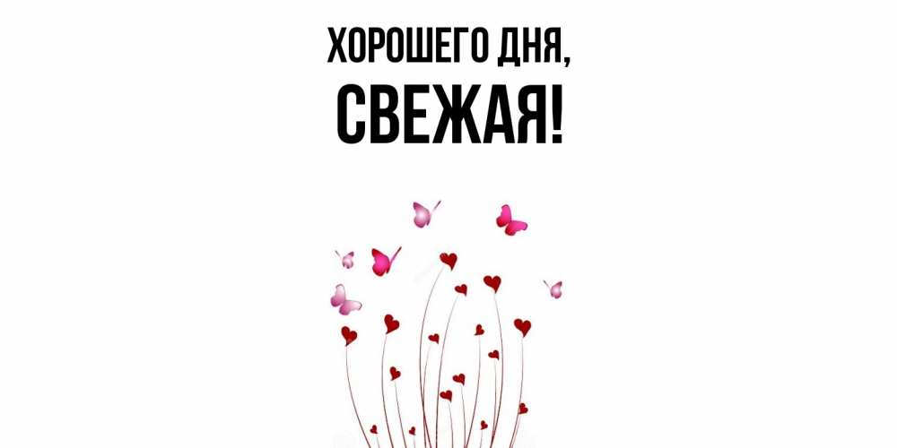 Открытка  для любимых и родных. свежая, Хорошего дня  