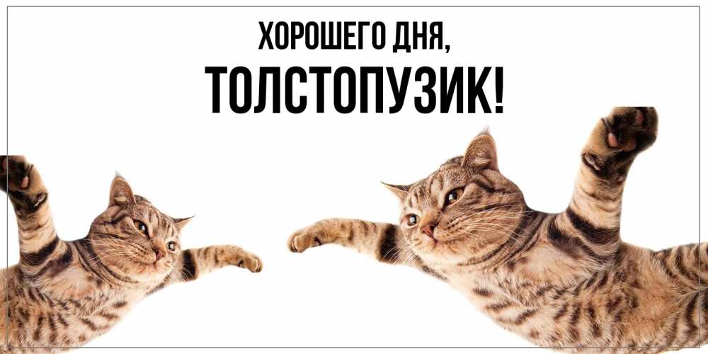 Открытка  для любимых и родных. толстопузик, Хорошего дня  
