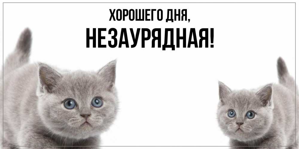 Открытка  для любимых и родных. незаурядная, Хорошего дня  