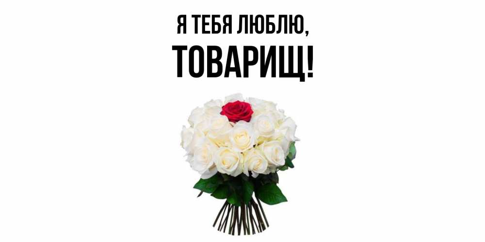 Картинка Я тебя люблю, Товарищ