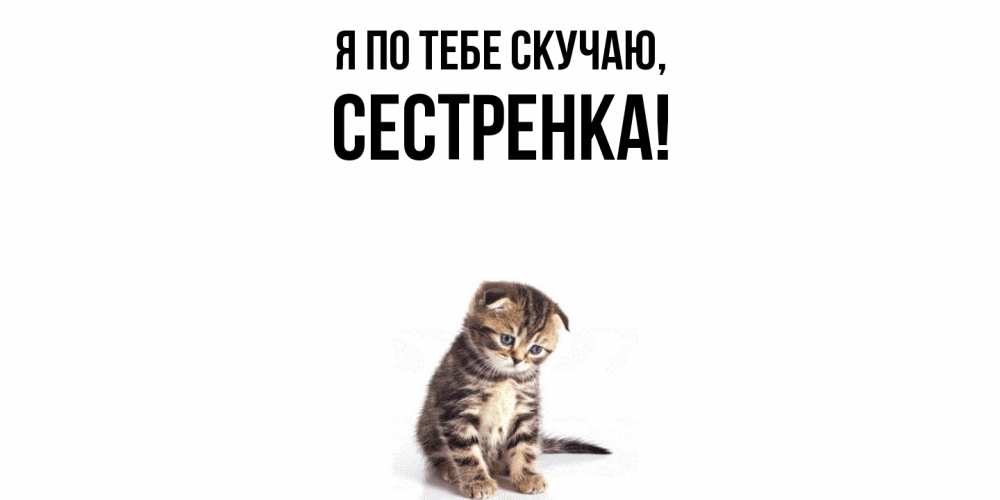 Картинка Я по тебе скучаю, Сестренка