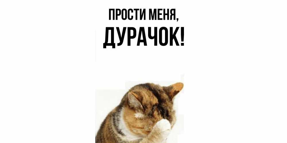 Открытка  для любимых и родных. дурачок, Прости меня  
