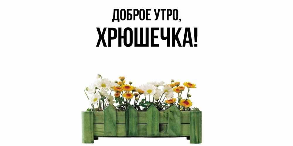 Открытка  для любимых и родных. хрюшечка, Доброе утро  